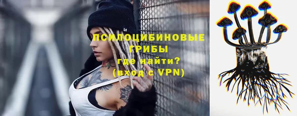 прущий лед Алексин